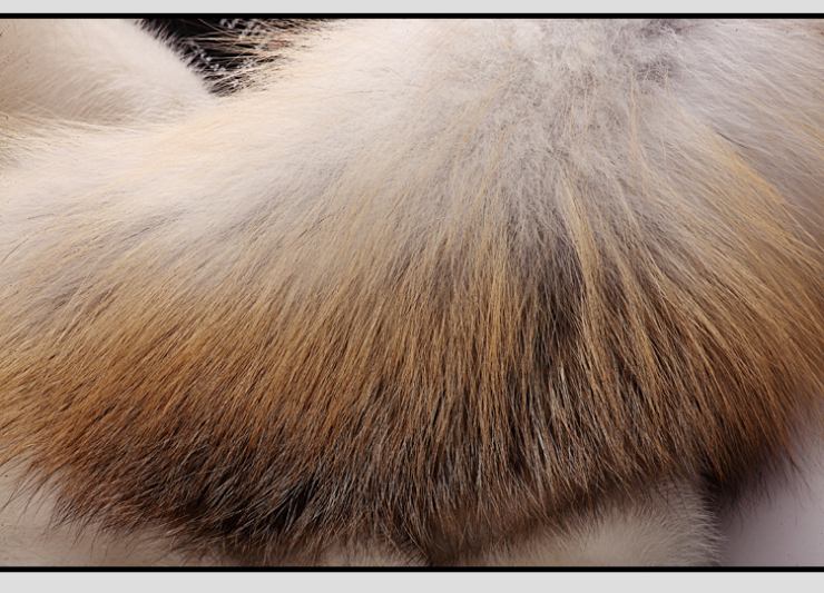 100%金岛狐 丰盈奢华豪装饰,丰盈是一种感觉,奢侈是一种态度.