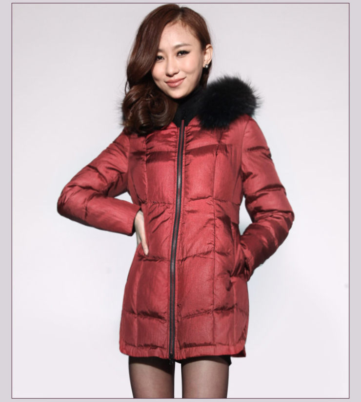 红迪丝2012新款冬装 貉子毛领羽绒服女装 中长款羽绒女hd24207