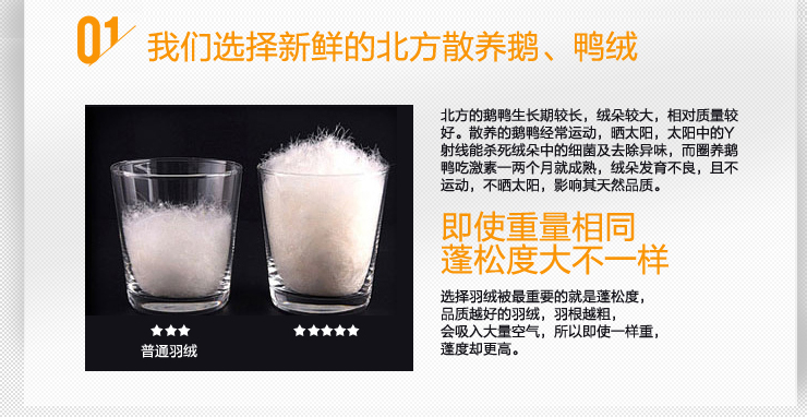 
                                        吾家元素鹅毛3公分立高羽绒靠垫芯 抱枕 沙发靠垫 腰枕 床头靠枕 白色一个装 50*50+3cm                