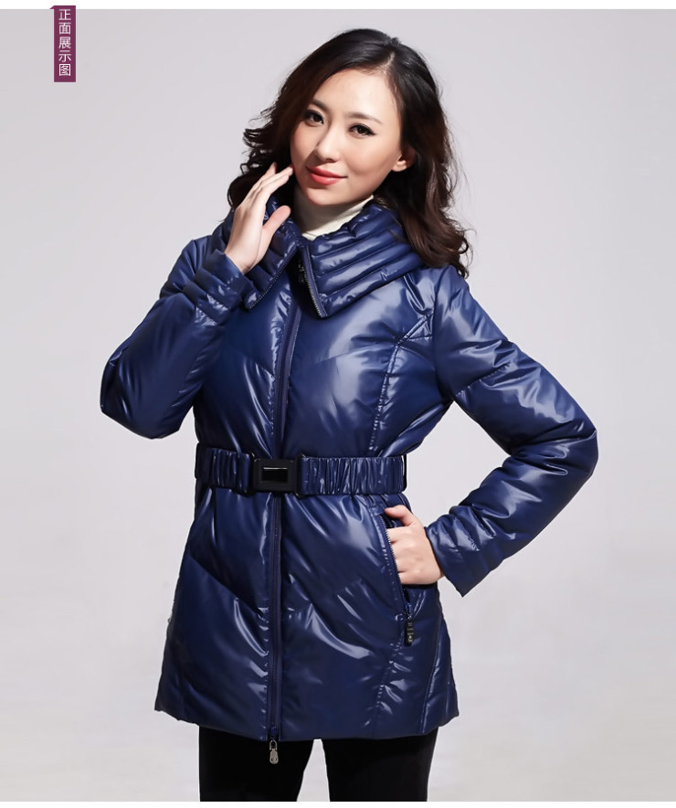 红迪丝h·d·s 妈妈装中年女装2012新款冬装中长款羽绒服堆领修身8016