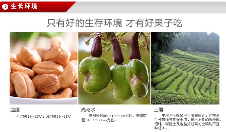 9kg  商品产地:  类别:腰果 特性