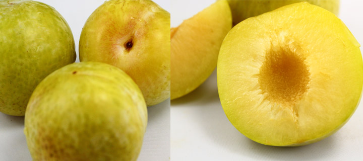 6,黄布林性平,味甘,酸;入肝,肾经.