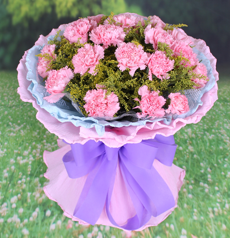 鲜花速递 19朵粉康乃馨 全国市区免费送花 母亲节鲜花 祝福妈妈 平时