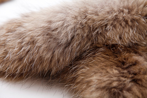 貉子毛细节 浓密密集貉子毛均匀的伸展着,貉子毛针自然有品质.