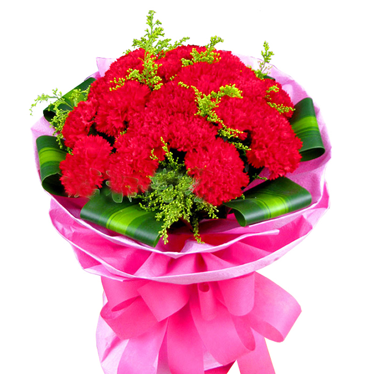 花易鲜花速递 21枝红色康乃馨 长辈生日祝福鲜花 节日祝福鲜花 鲜花