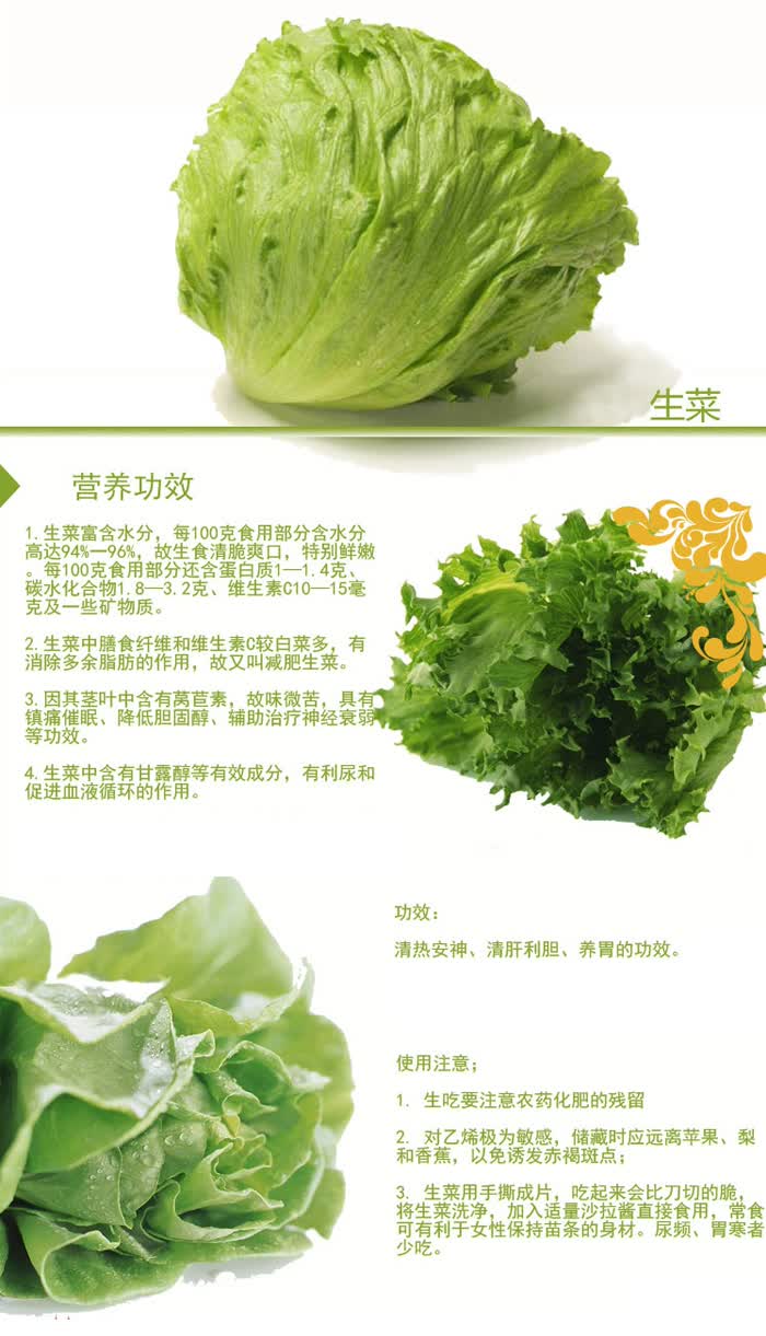 京东触屏版