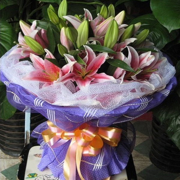 花语:时光的流逝带不走你的美丽,也带不走我对你的爱,祝你永远美丽!