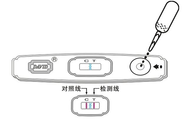 大卫验孕棒检测怀孕早知道早早孕(HCG)试纸试盒 北京发货 大卫验孕卡1支*5盒 【图片 价格 品牌 报价】-京东