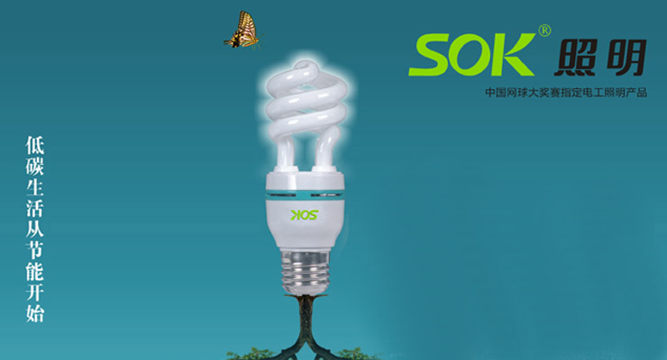 SOK三基色节能荧光灯管9W-小螺旋-E27日光色10只装