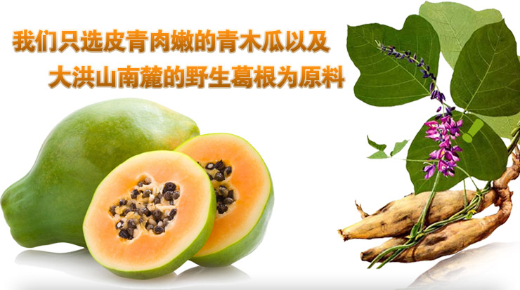 仙之灵木瓜葛根粉 260克/盒