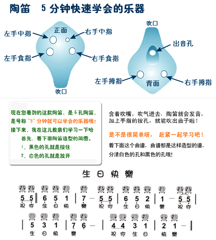 【图】tng6孔可爱造型海豚陶笛-京东商城 ## - 专业陶笛精品店