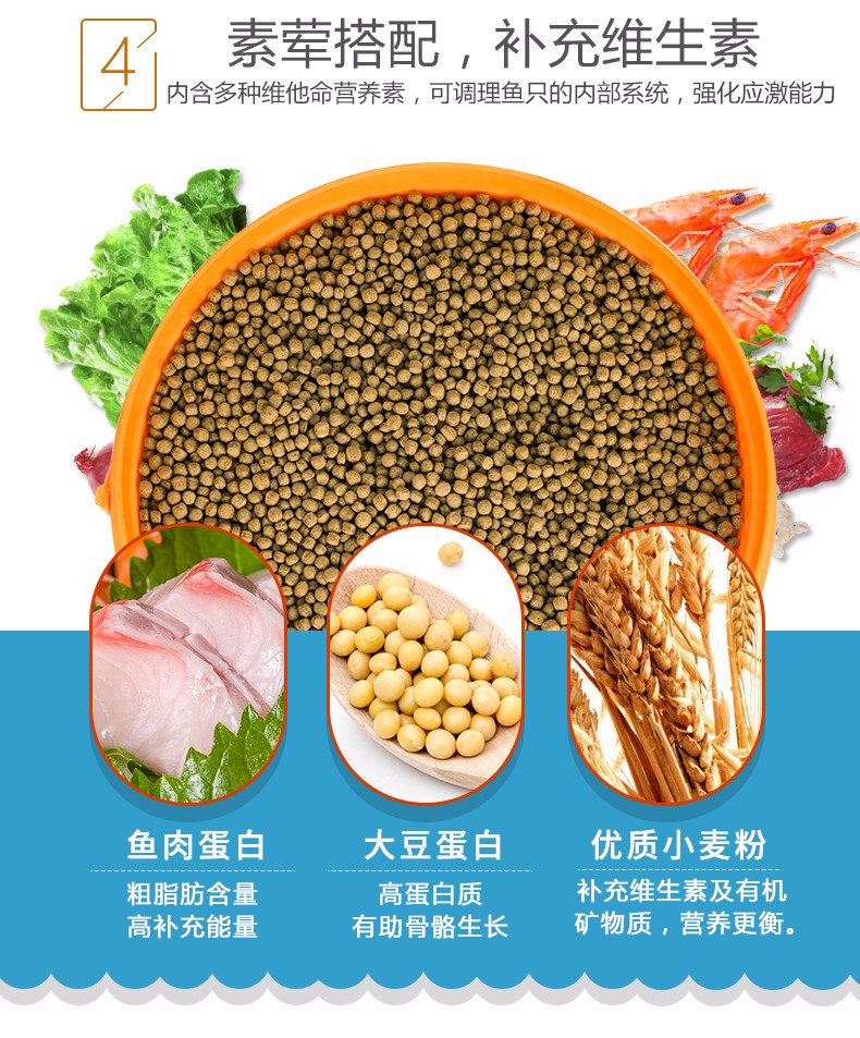 a7f549ea7d310db2.jpg