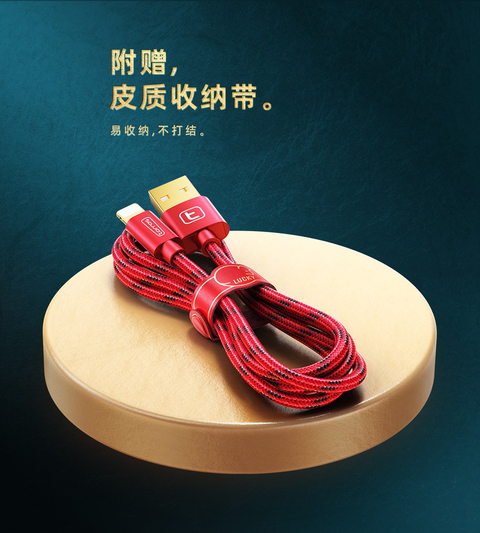 88901-图拉斯 苹果数据线手机快充USB充电器线iPhone 13 Pro Max/12/11/iPad 1.68米【快不伤机丨耐用不弹窗】-详情图