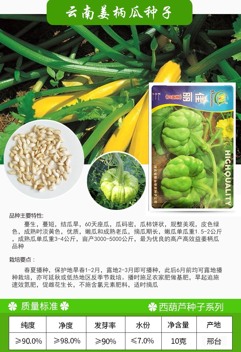 凤鸣雅世 姜柄瓜种子云南特产姜柄瓜庭院菜园特色迷你小南瓜种籽小绿