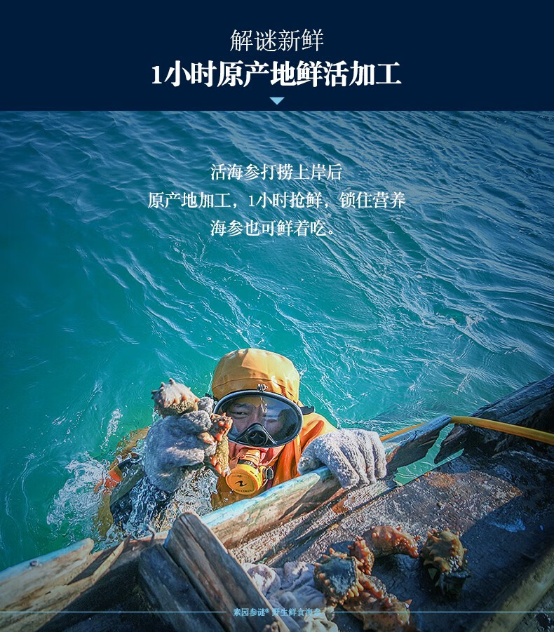 素园即食海参月度保养鲜活海参大连5年辽参30只单个装1500克
