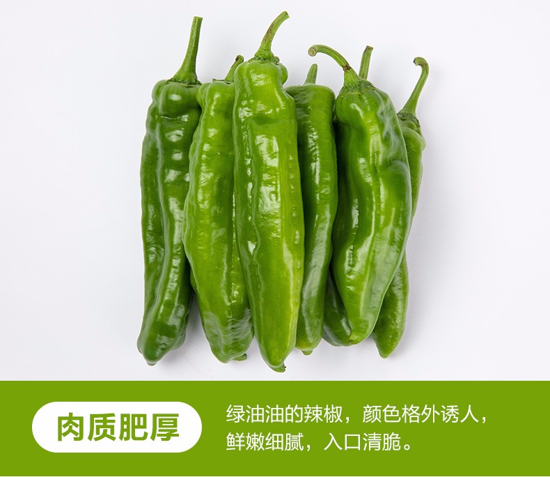 发顺丰农家新鲜虎皮青椒蔬菜尖椒薄皮大青椒3斤精选虎皮椒纸箱
