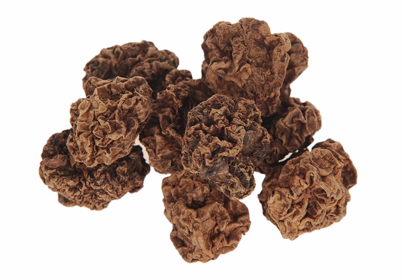 心然虫瘿果粉宠物猫咪幼猫成猫增强食欲零食调节猫咪情绪奖励零食