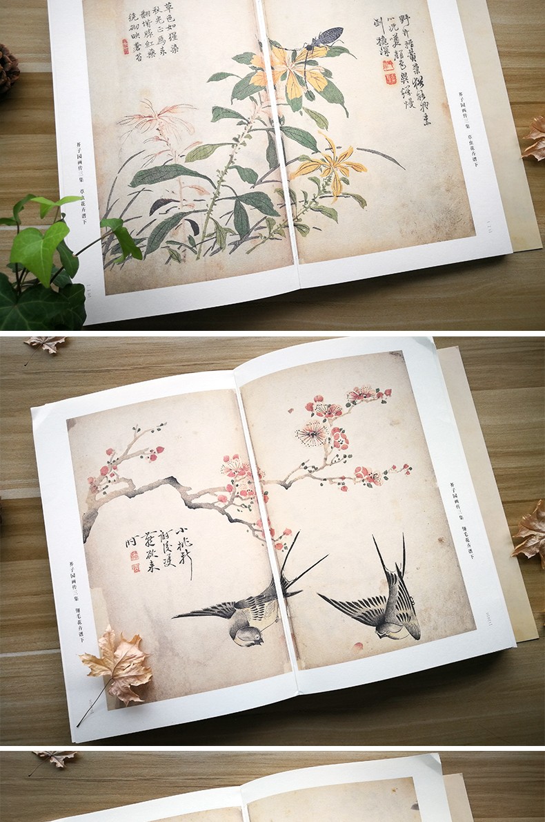 康熙芥子园画传彩色原大版国画临摹画册芥子园画谱山水林木兰竹梅菊