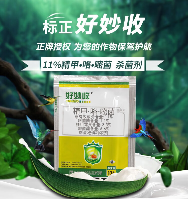 标正 好妙收 11% 精甲·咯·嘧菌 根腐病 黑痣病 茎基腐病 杀菌剂15
