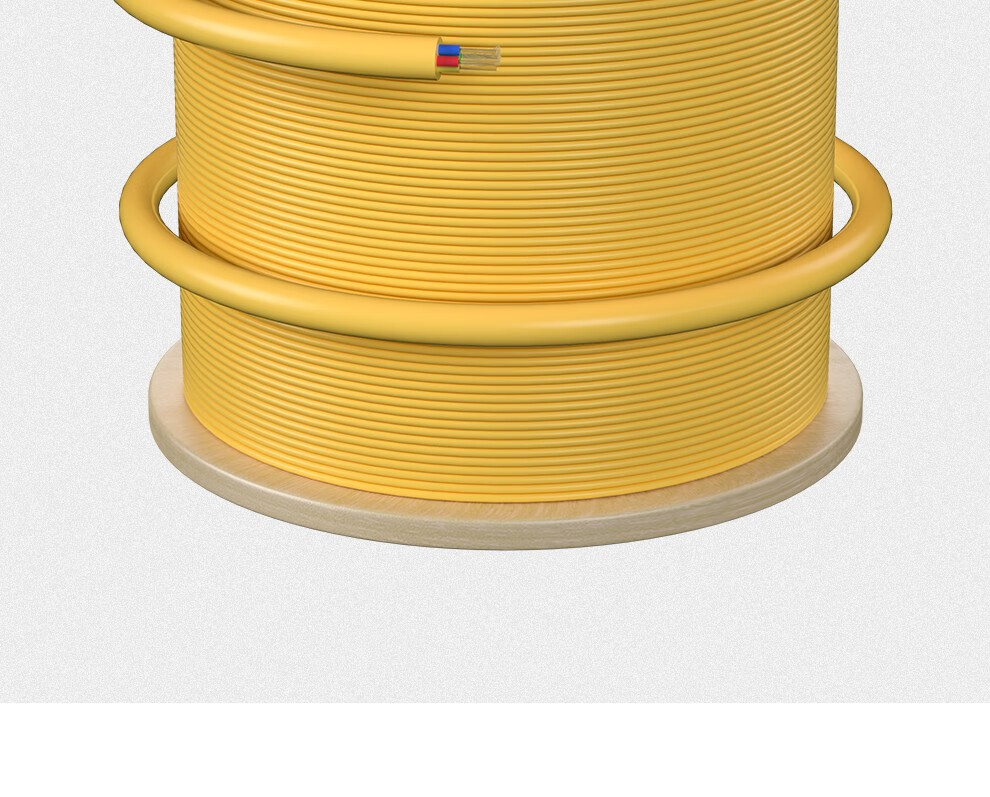 首千sq-gjfjv-12b 电信级12芯单模室内十二芯光纤 9/125 10米