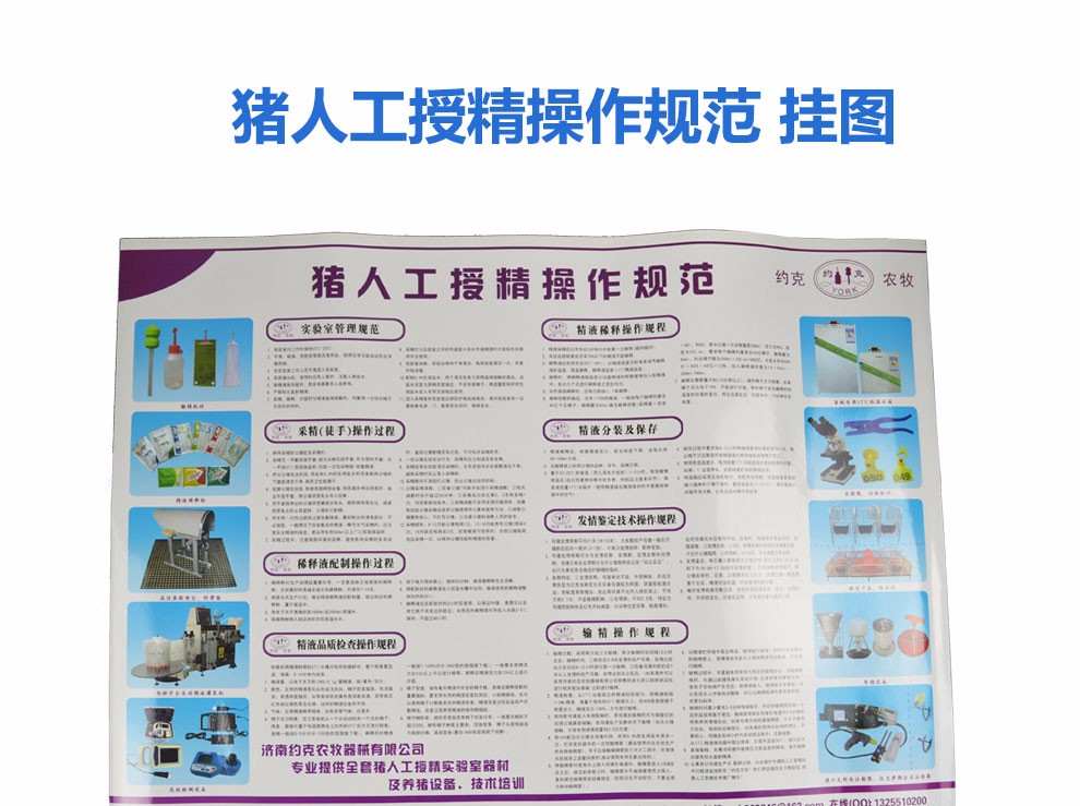 猪人工授精规范挂图猪人工授精流程图猪场用挂图