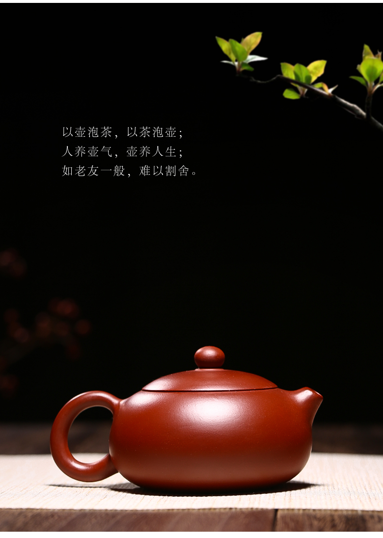 徐保国 宜兴紫砂壶 纯全手工紫砂茶壶 大红袍 扁西施