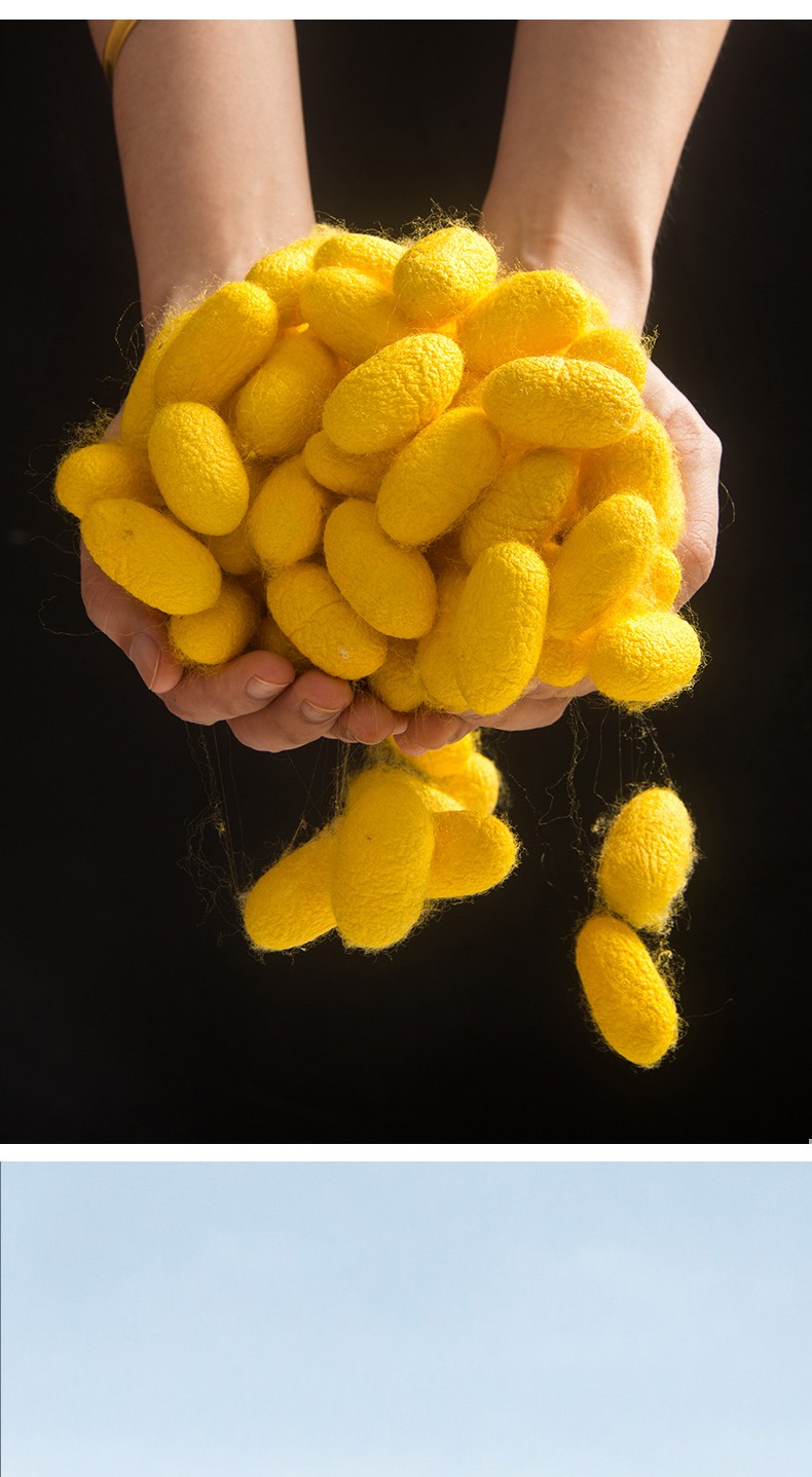 邵氏天然手工桑蚕丝黄金丝蚕丝被定制 春秋被芯 冬被双人子母被子 220