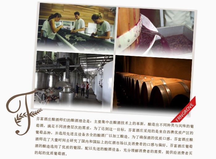 澳洲原瓶进口红酒整箱芬富365红葡萄酒750ml整箱装