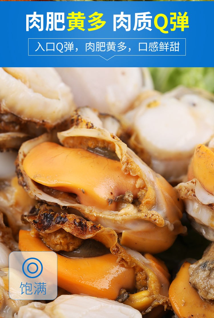 海味先生 花甲鲜活 扇贝肉柱 蛏子肉 生蚝肉 袋装 生蚝肉500g