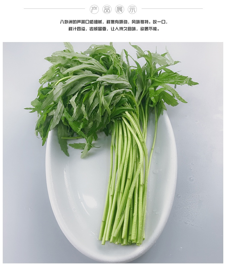 南京芦蒿八卦洲藜蒿新鲜蔬菜篱蒿去根农家菜现采现发4斤带叶去根