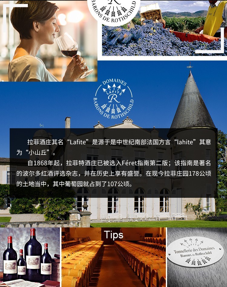 品丽珠(cabernet franc)产地:法国(france) 波尔多(bordeaux)