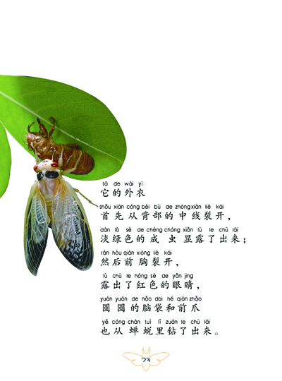 《法布尔昆虫记注音彩图版(10册礼品装) [法]法布尔