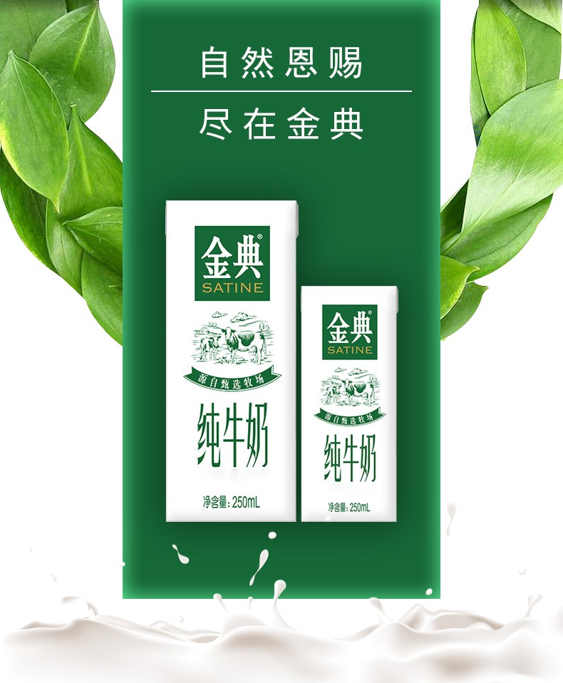 恬女神王菲推荐金典纯牛奶250ml盒纯牛奶整箱儿童学生早餐营养奶新