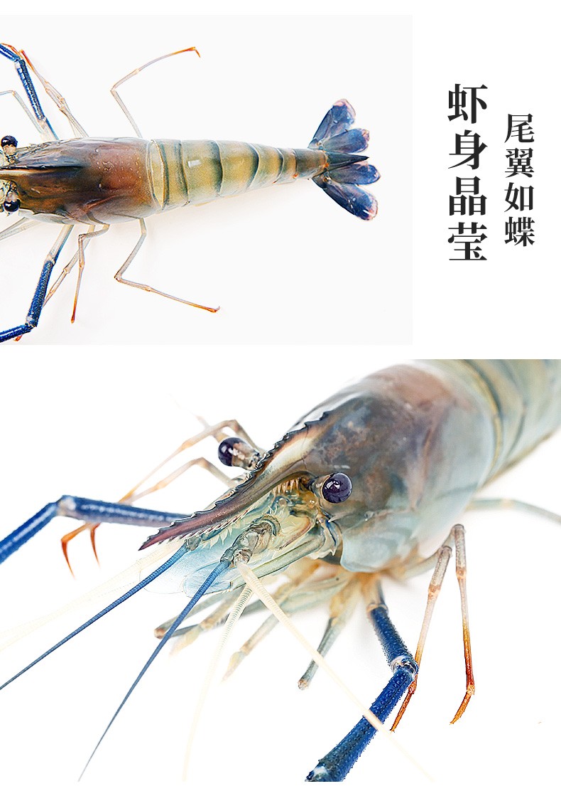 【支持同城闪送】味库 冰鲜罗氏虾 (鲜活发货冰鲜到