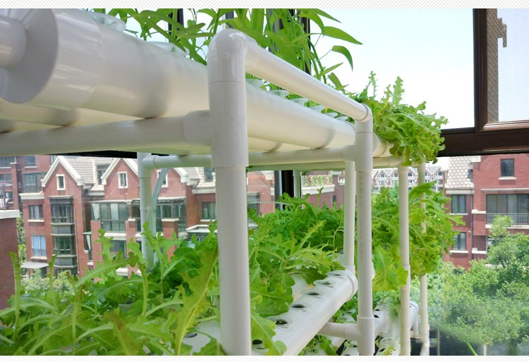 无土栽培设备阳台种菜非神器无土栽培蔬菜水培水耕种植架管道种菜机 3