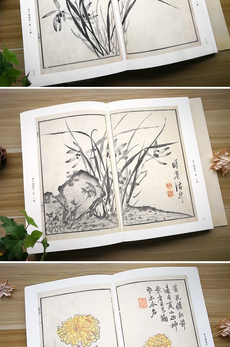 康熙芥子园画传彩色原大版国画临摹画册芥子园画谱山水林木兰竹梅菊