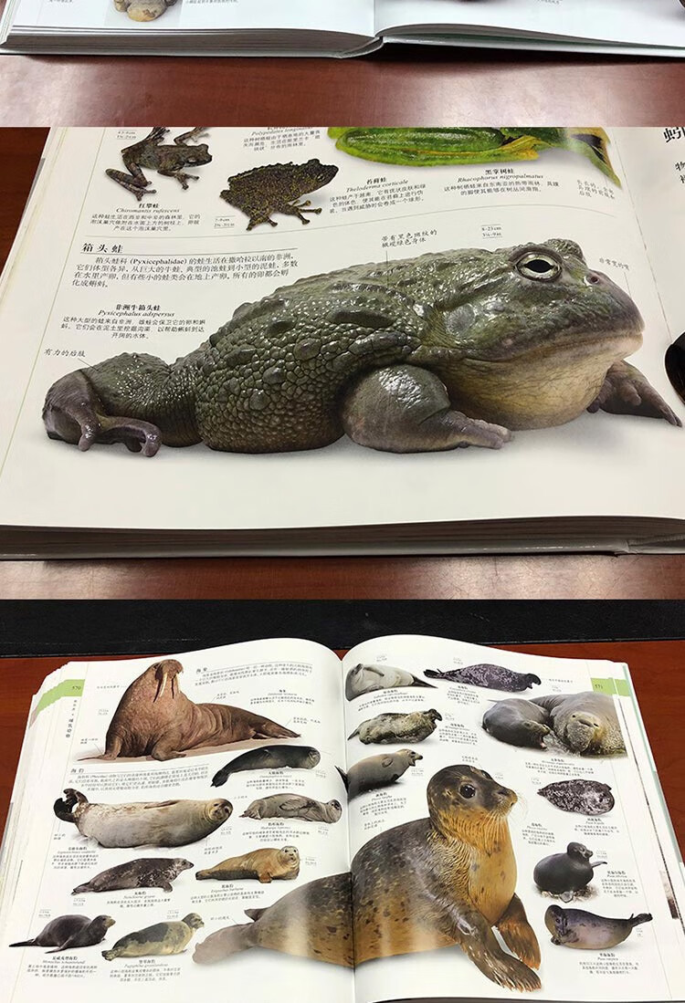 dk博物大百科全书中文版精装珍藏版dk儿童动物大百科全书科普百度云