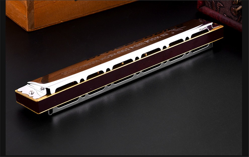 sw天鹅28孔宽音域复音重音c调口琴初学者入门成人专业演奏级乐器 28孔