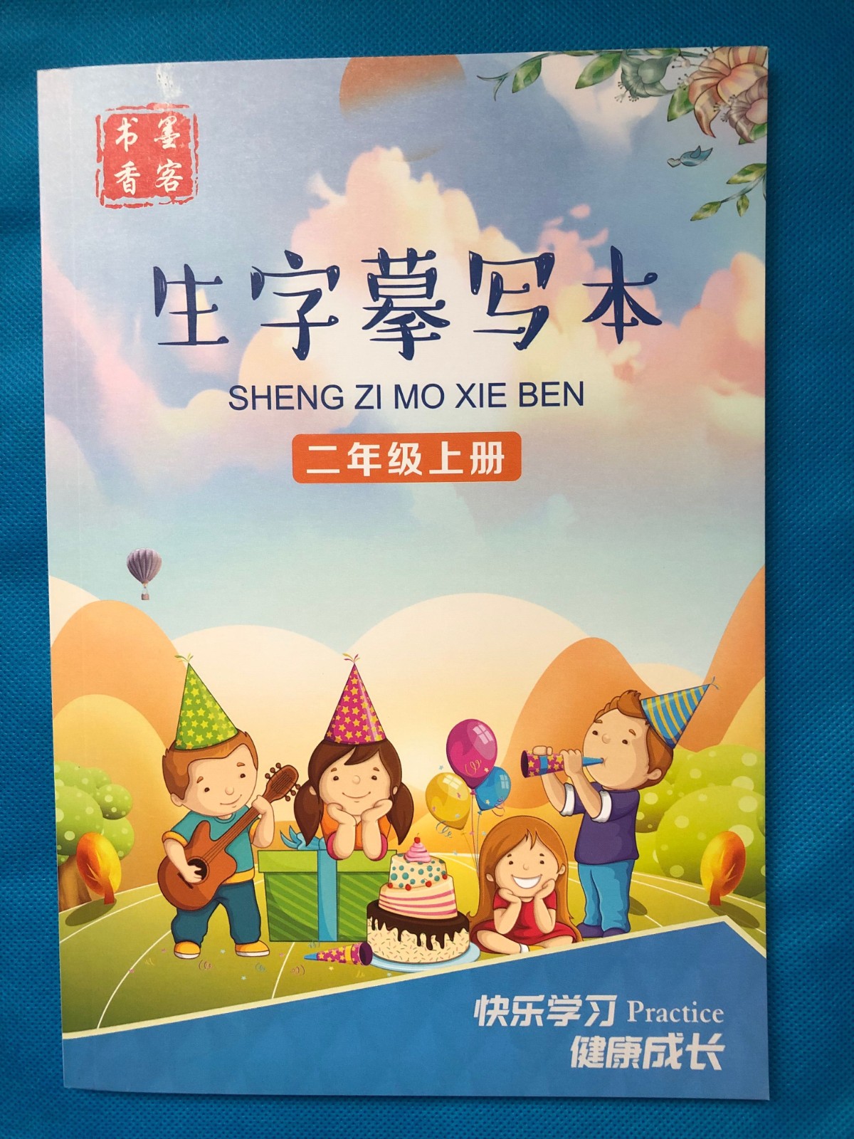生字摹写本1-2-3二年级语文汉字描红练字本温妤 一年级上册摹写本