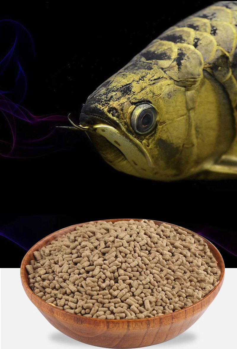 海豚龙鱼饲料银龙鱼金龙鱼龙鱼鱼食鱼专用罐装饲料颗粒上浮鱼食 龙鱼