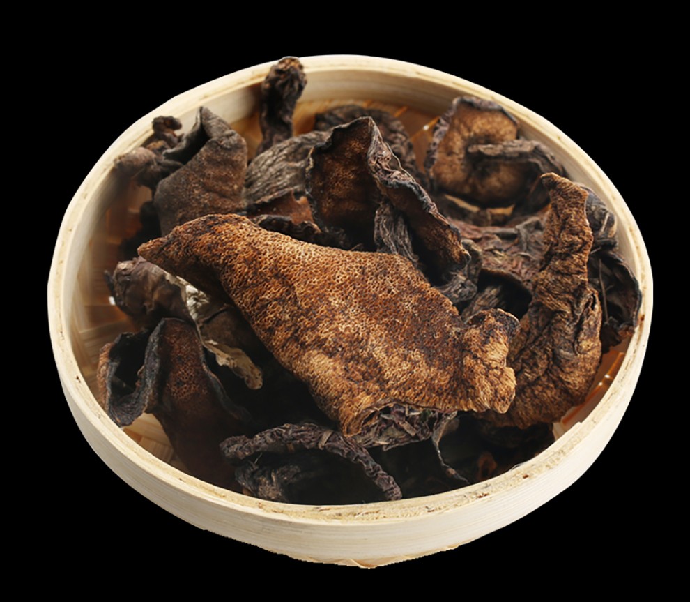 宁安堡贺兰山紫蘑菇100g袋宁夏特产香菇食用菌紫蘑菇纸盒100g