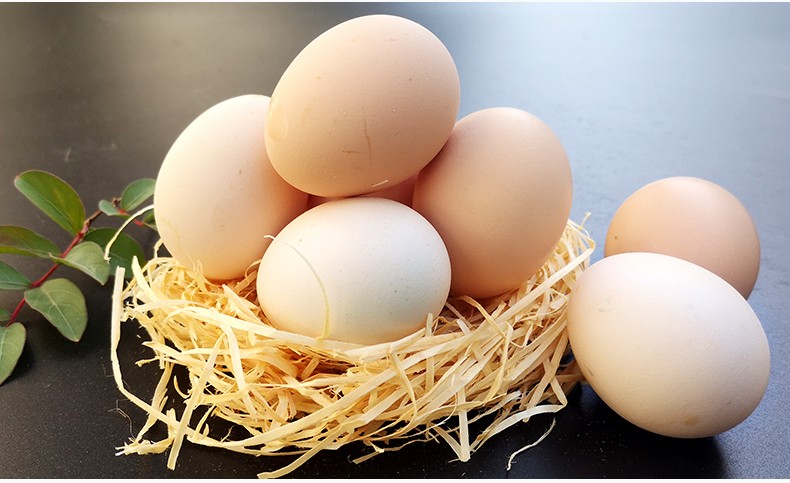 岳西馆储山农家鲜鸡蛋农村粮食喂养新鲜柴鸡蛋40枚初生蛋