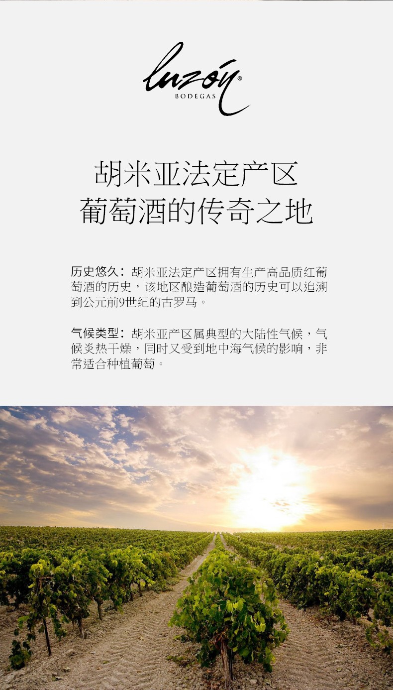 【帕克88&iwc90分】西班牙进口红酒 胡米亚产区do级大师精选干红葡萄
