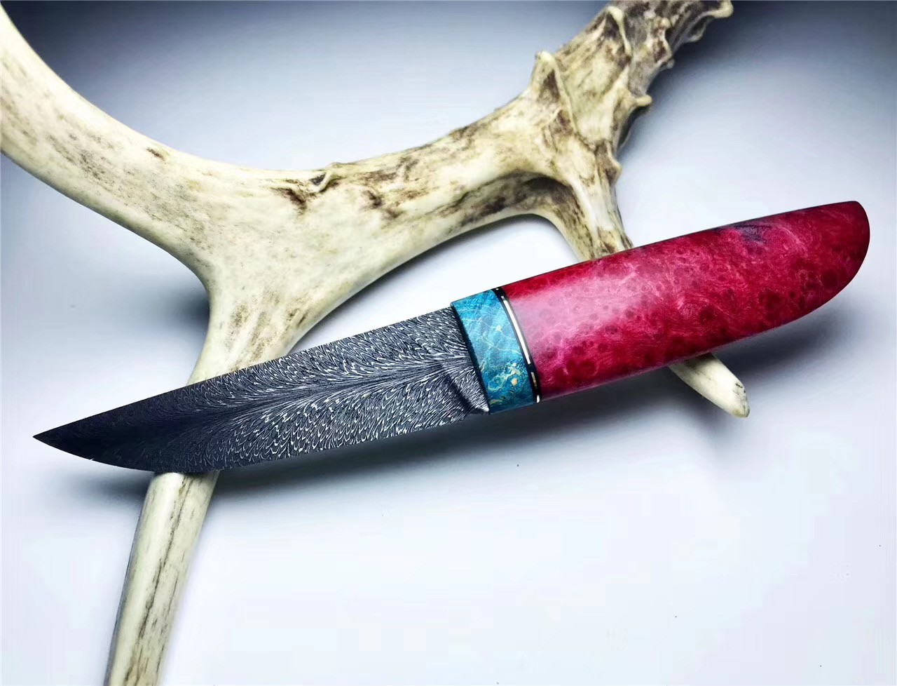 羽毛直刀稳定化木瘤手柄手工高端野外收野外生存高硬度锋利北欧直刀