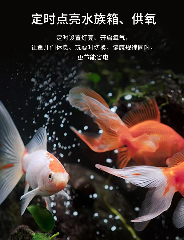 f6b039f7737b1e02.jpg