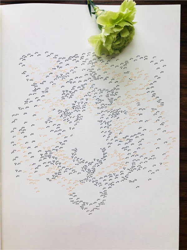 正版极限挑战魔线中国盖尔斯摩尔中国铁道出版社9787113240783