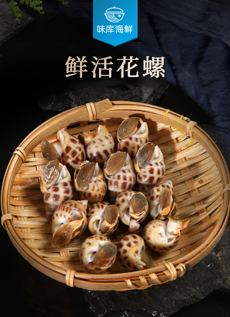 鲜活味库鲜活花螺500g海鲜贝类水产500g
