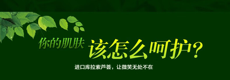 恩莱芙芦荟凝胶60g补水保湿滋养皮肤激活皮肤活力修护肌肤60g