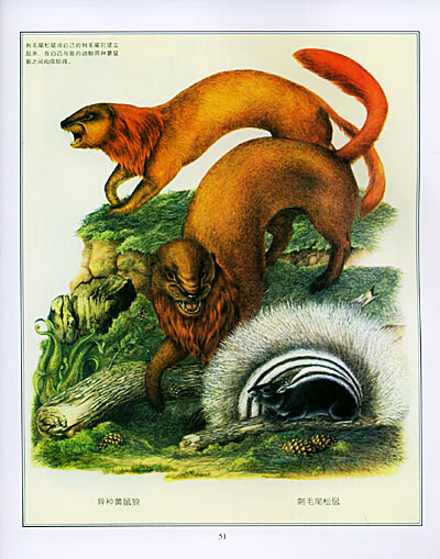 《人类灭绝之后的动物[美]道加尔.