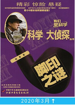 全年珍藏科学大侦探杂志2020年11112月共12本打包712岁中小学生悬疑